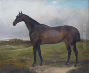 Profile Of A Thoroughbred