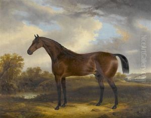 Portrait Of A Horse by George Cole