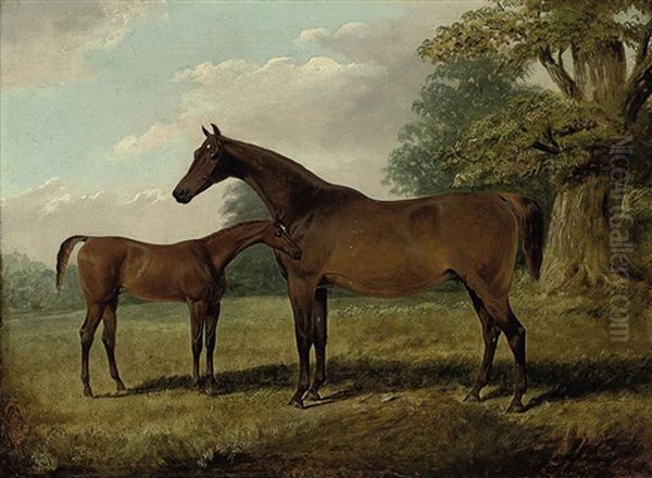 A Chestnut Mare (bessie Bedlam ?) With A Foal In A Field - view 1