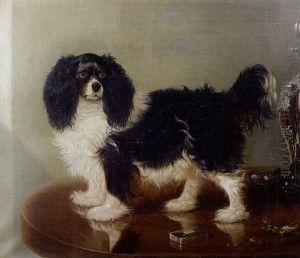 Portrait D'un King Charles