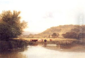 Cattle Watering In A Tranquil River by George Cole