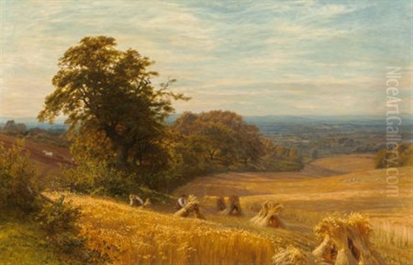 Cornfield At Abingdon, Berks, 1874 - view 1