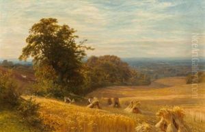 Cornfield At Abingdon, Berks, 1874 by George Vicat Cole