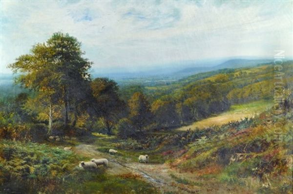 Looking Across Haslemere - view 1