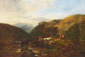 Kor I Landskap Med Berg I Fjarran