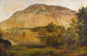 Landschaft Mit Kleinem See Und Felsen Im Hintergrund