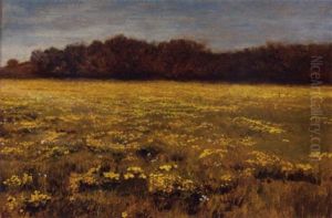 Across The Field Of Ragwort Across The Field Of Ragwort