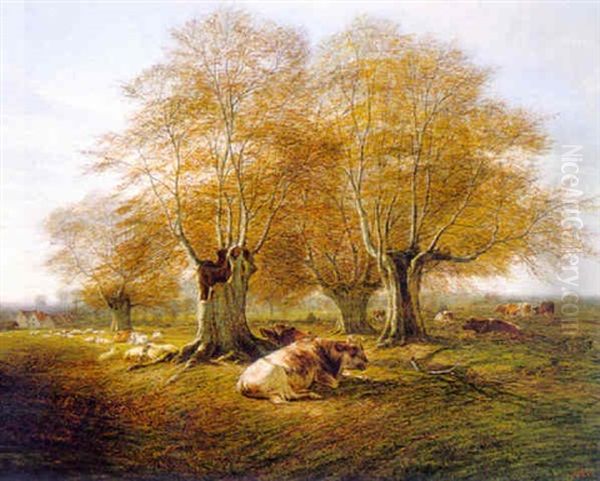 Under The Beech Trees - view 1