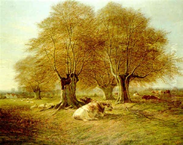 Cattle At Rest - view 1