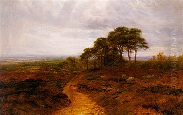 Leith Hill, Surrey - view 1