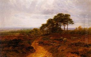 Leith Hill, Surrey Leith Hill, Surrey