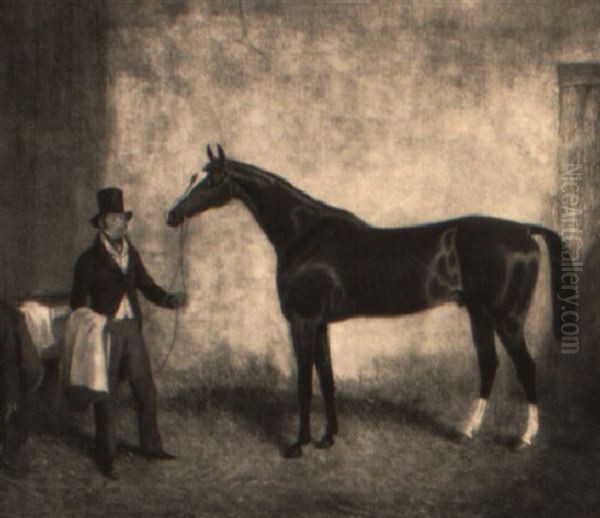 'orlando', A Bay Racehorse Held By A Trainer - view 1