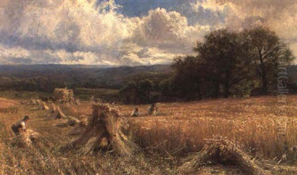 Cornfield - view 1