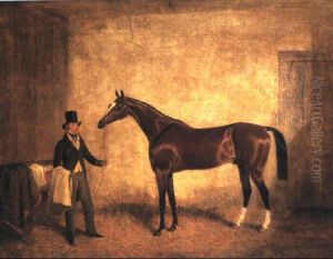 Orlando, A Bay Racehorse, Held By A Trainer, In A Stable