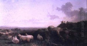 Evening On The South Downs