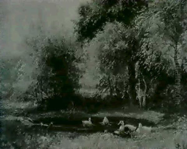 A Woodland Pond With Ducks - view 1