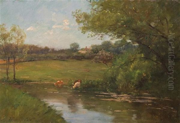 Cows By The River - view 1