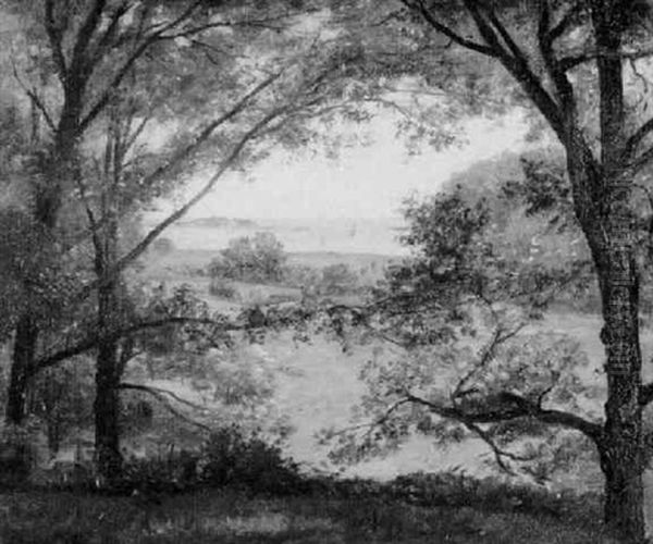 Maine Landscape - view 1
