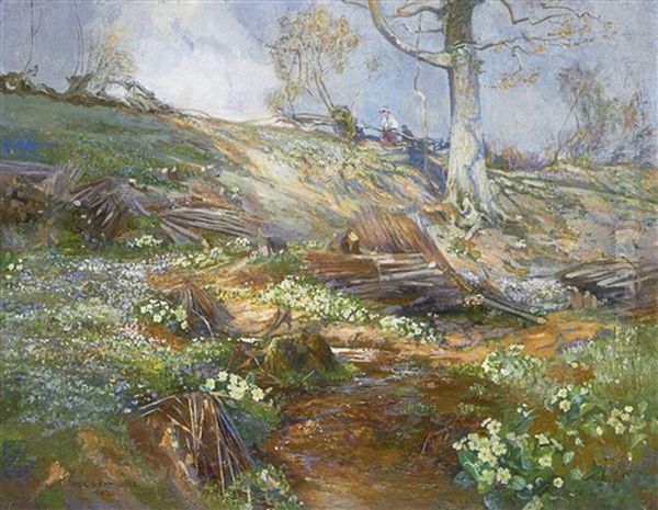 Woodland Springtime - view 1