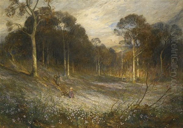 Woodlands Gay With Lady Smocks - view 1