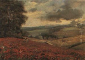 Poppies At Amersham, Buckinghamshire