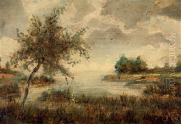 Uferlandschaft Mit Schilf - view 1