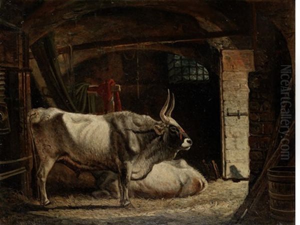 Oxen In A Stable - view 1