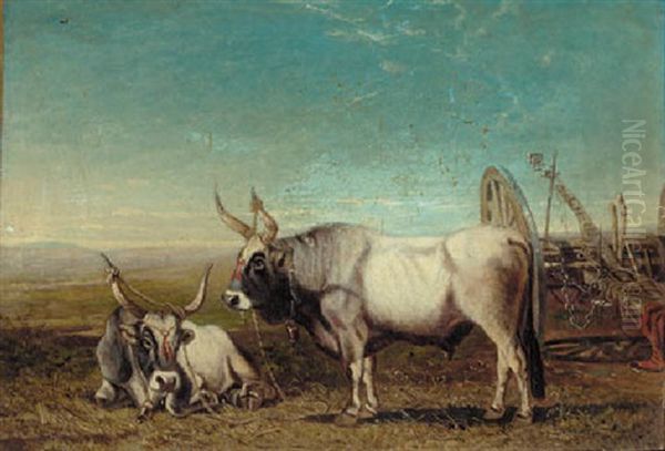 Long Horned Cattle In The Roman Campagna - view 1