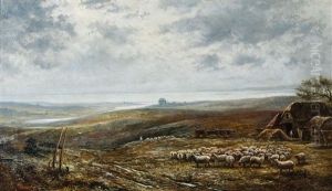 Weite Landschaft Mit Schafsherde Unter Bewolktem Himmel Weite Landschaft Mit Schafsherde Unter Bewolktem Himmel