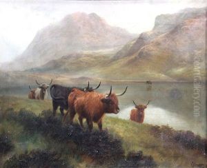 Pascolo