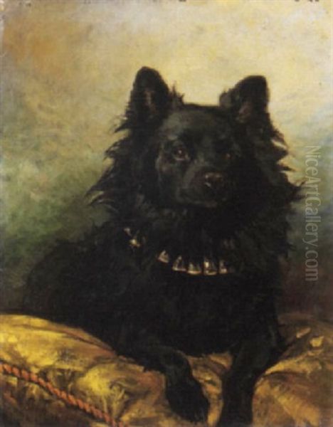 Il Cagnolino Nero - view 1