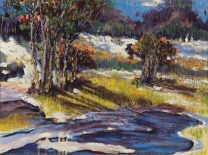 Pleasant Lake, Adirondacks by Glenn O. Coleman