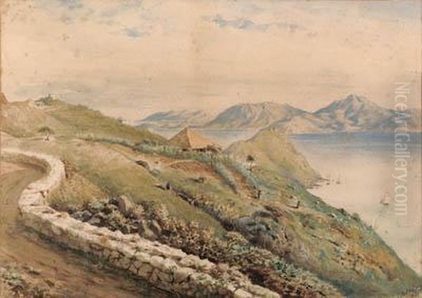 Hillside In The Philippines - view 1