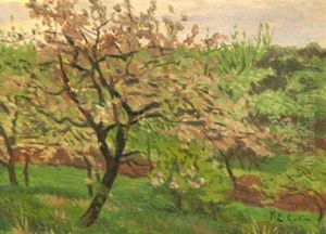 Pommier En Fleurs