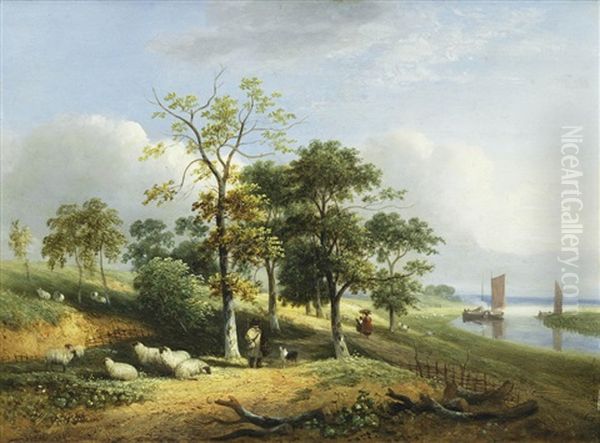 Postwick Grove - view 1