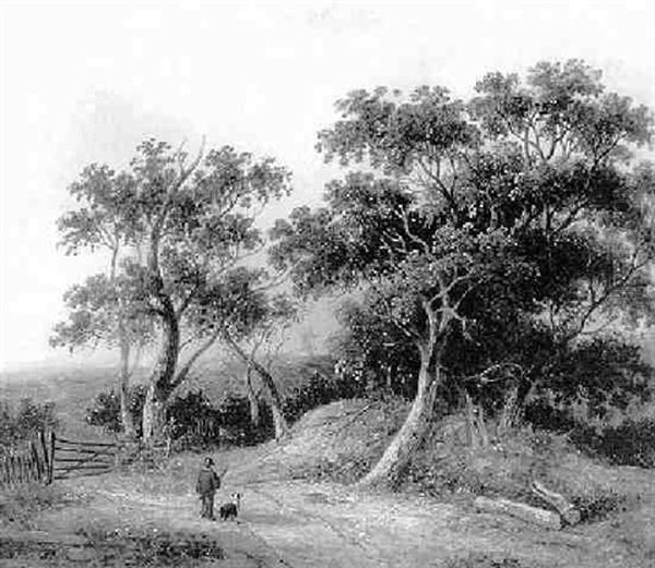 Boy And Dog In A Wooded Landscape - view 1