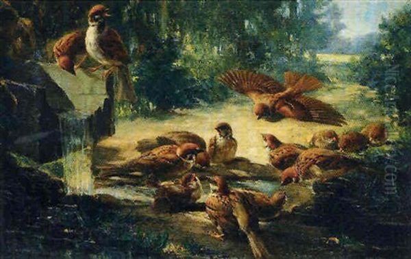 Les Oiseaux - view 1