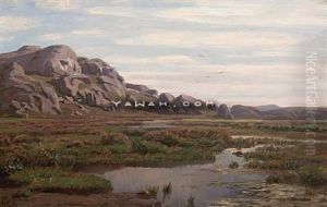 Myrlandskap by Fredrik Jonas Lucian Botfield Collett