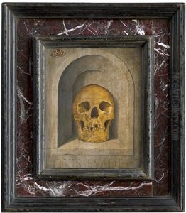 Memento Mori: Schadel In Einer Wandnische Mit Falter by Edward Collier