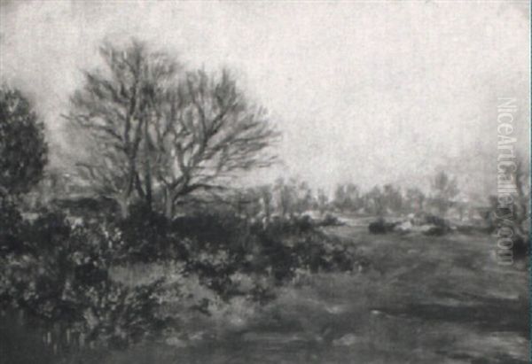 Landschaft - view 1
