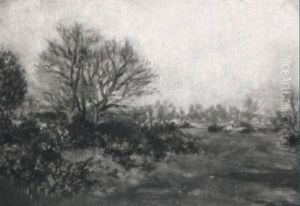 Landschaft