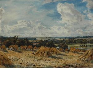 Cornfield Near Kintbury