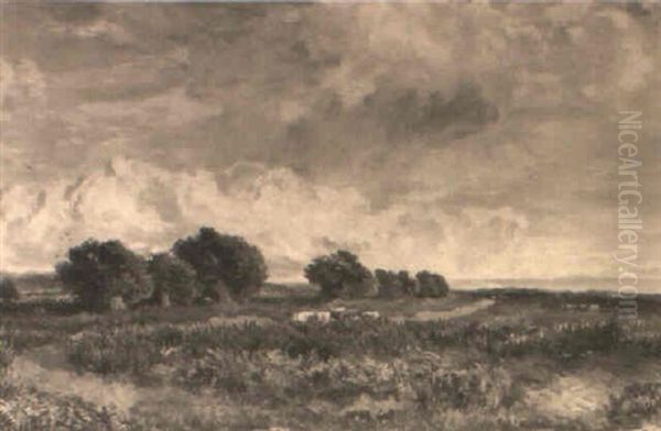 Lymington Common, Hampshire - view 1