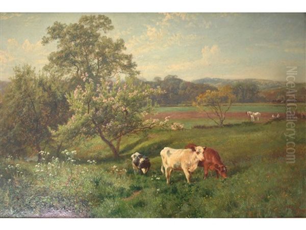 A Spring Morning - view 1