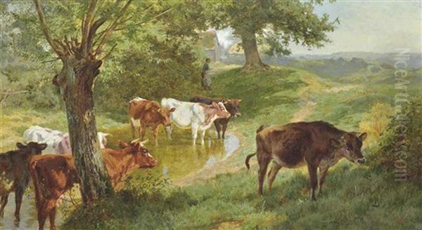 Cattle Watering At A Dew Pond - view 1
