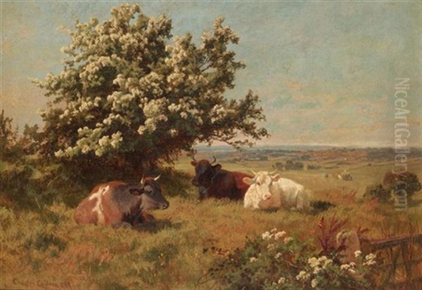 Cows In A Meadow - view 1