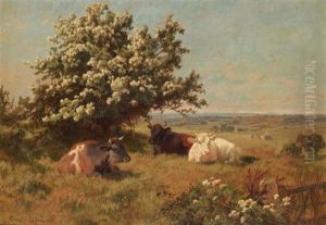 Cows In A Meadow Cows In A Meadow