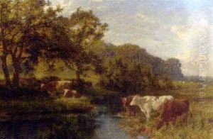 Cattle Watering In A Meadow