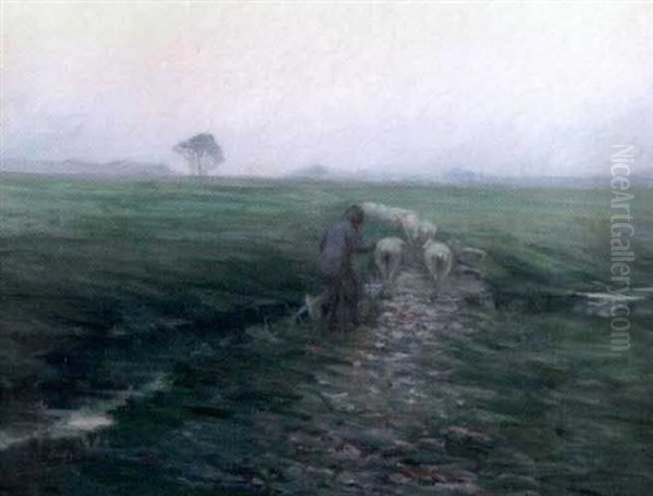The Shephard - view 1