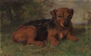 An Irish Terrier